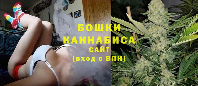 наркотики  Шуя  hydra ссылка  Бошки марихуана THC 21% 